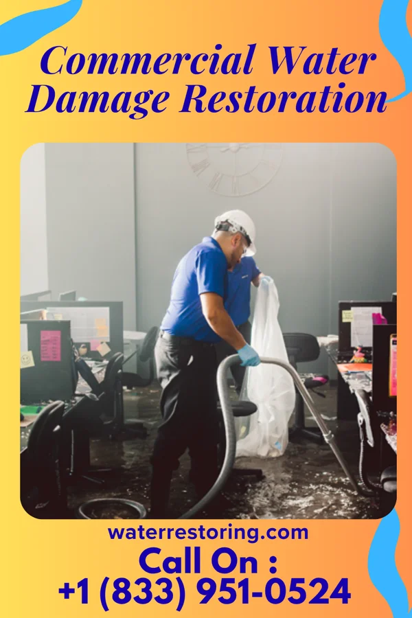 Commercial Water Damage Restoration in Monte Vista, CO
