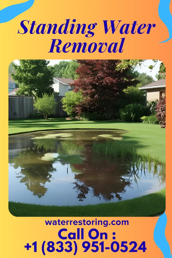 Standing Water Removal in Monte Vista, CO